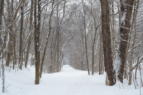 Winter Trail © Helen Filatova