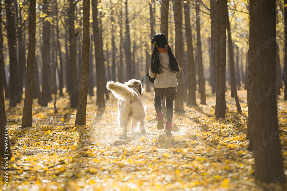 Fototapeta premium Little girl running with dog in autumn woods