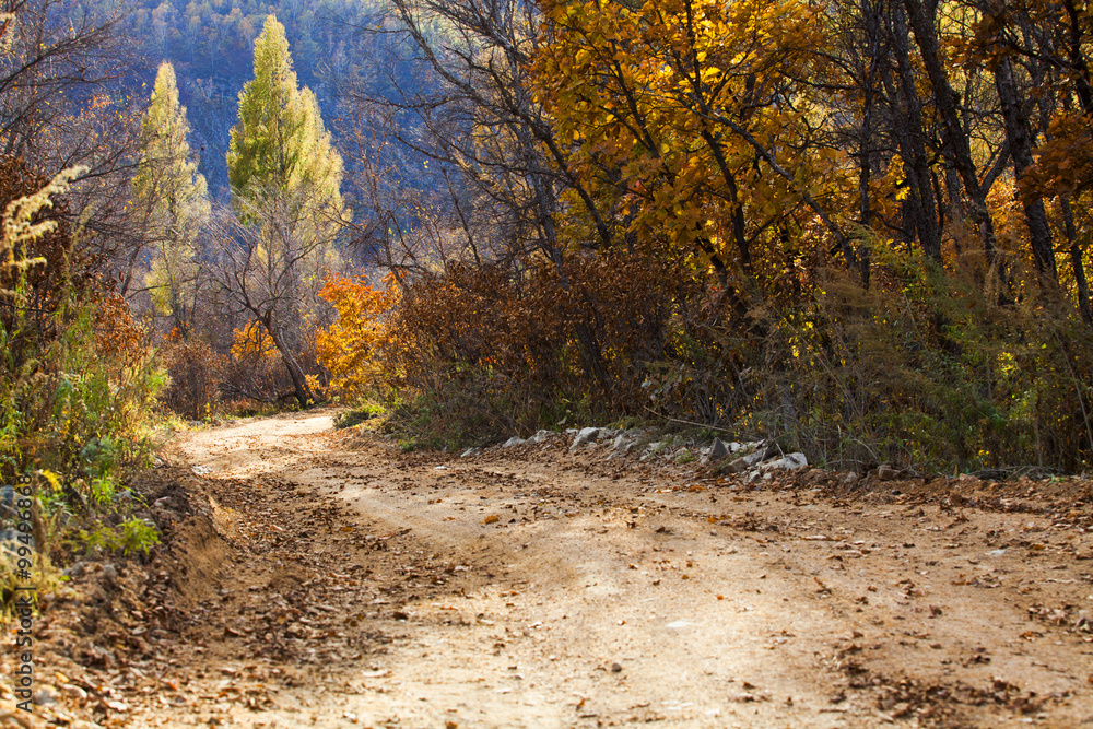 Obraz premium Country dirt road,China