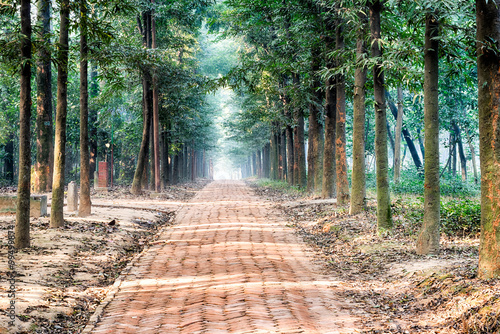 Canvas Print garden road