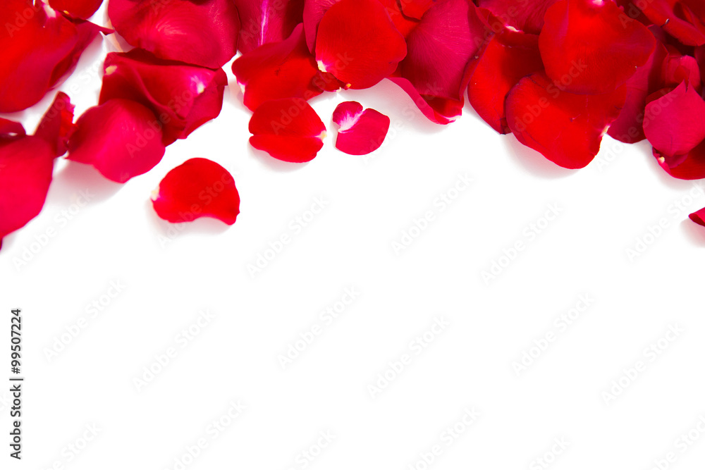 close up of red rose petals with copyspace close up of red rose petals with copyspace