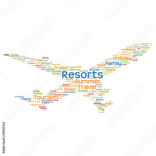 Vector conceptual travel or tourism plane word cloud