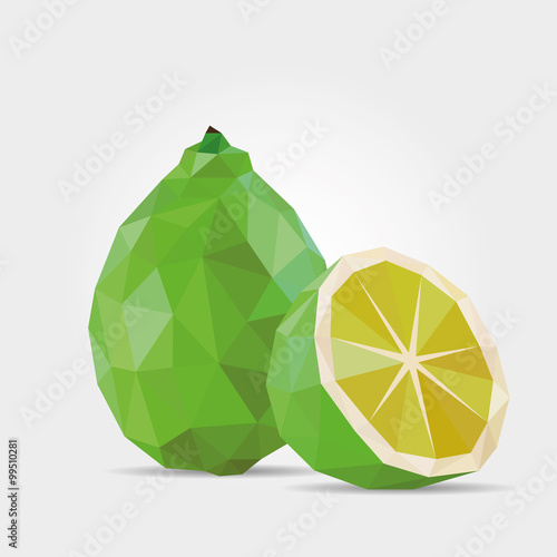 Polygonal Lime in Vector