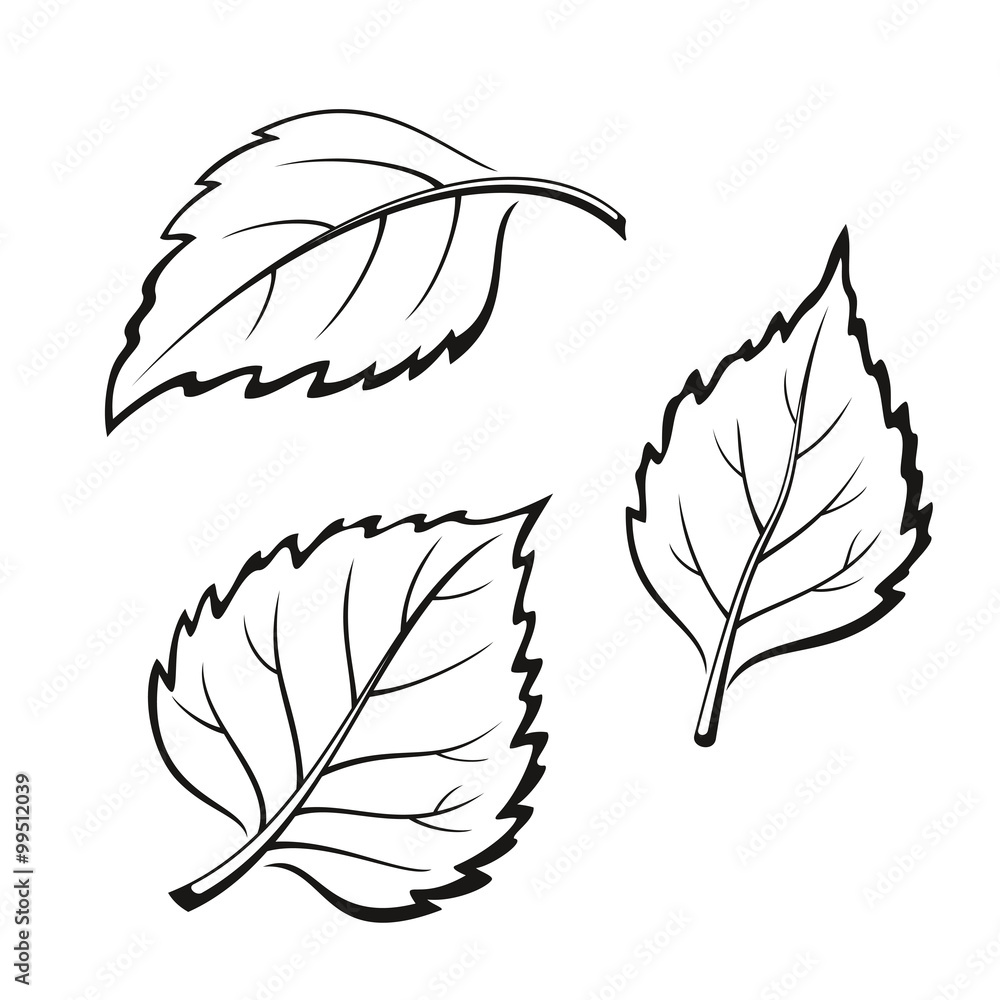 Fototapeta premium Birch Leaves, Pictogram Set
