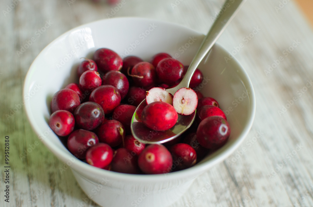 Cranberrys in einer Schale Cranberrys in einer Schale