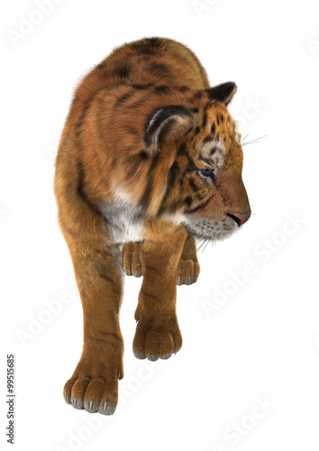 Fototapeta Naklejka Na Ścianę i Meble -  Big Cat Tiger