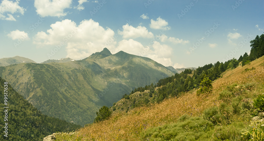 The picturesque mountain landscape