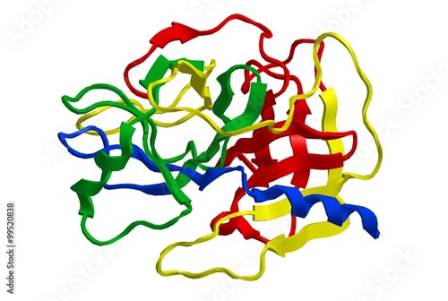 Molecular structure of enzyme trypsin photo