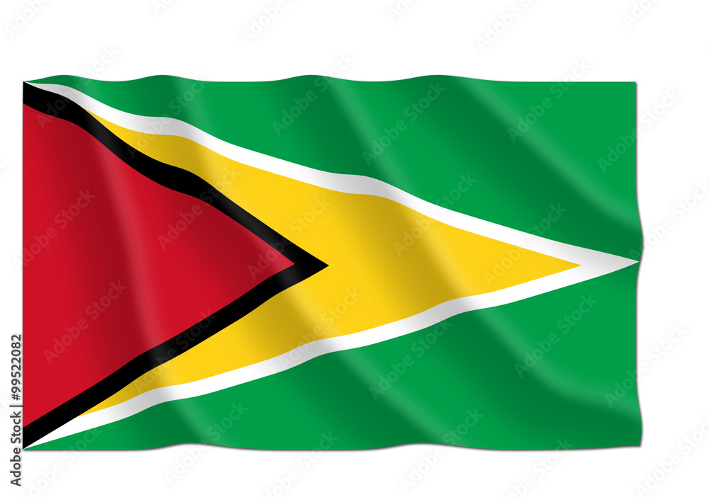 guyana flag guyana flag