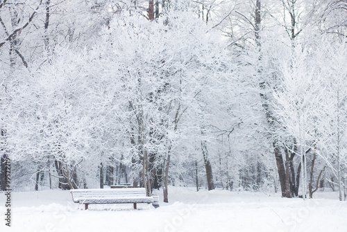 Snowy weather in park