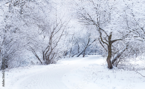 White snow on the path. Snowy winter day. © alexugalek