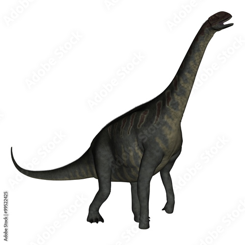 Fototapeta Naklejka Na Ścianę i Meble -  Jobaria dinosaur walking - 3D render
