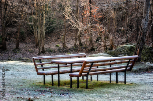 picnic bench with frost in the forest landscape.  Soft focus  blured background  low key  dark background  spot lighting  and rich Old Masters