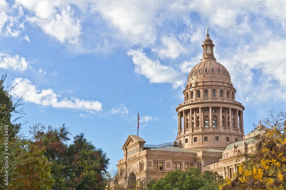 Fototapeta premium Austin Capitol