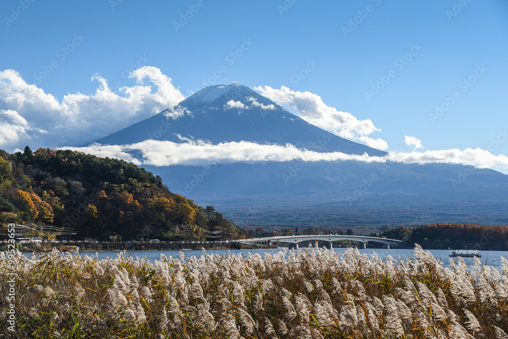 Obraz premium Mount Fuji at Lake Kawaguchi, Japan