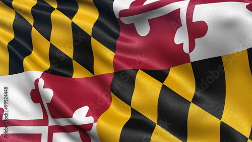 US state flag of Maryland photo