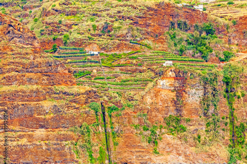 Colorful rocky cliff coast of Madeira with banana plantations