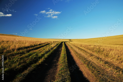 Field under the blue sky