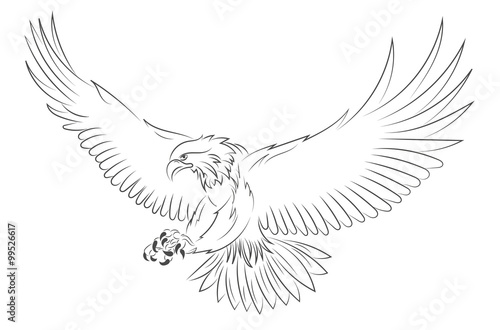 Adler | handgezeichnet
