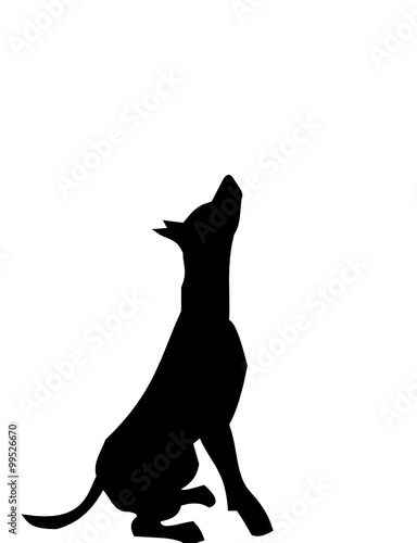 a sitting dog 