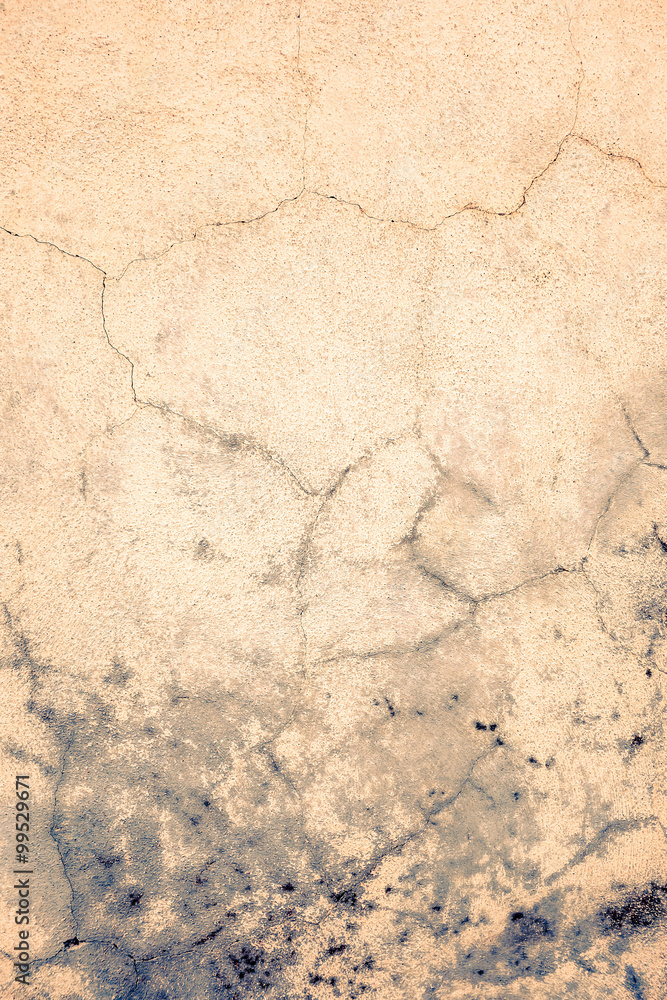 Obraz premium grungy wall Sandstone surface background