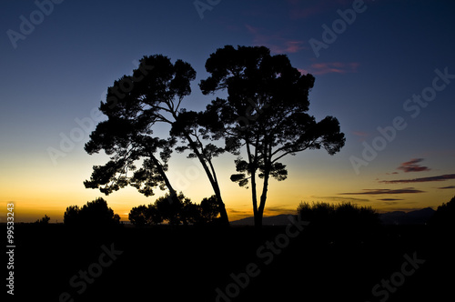 golf field tree silhouette