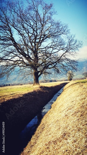 Autum in Liechtenstein photo