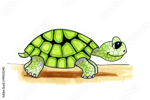 Illustration cartoon turtle