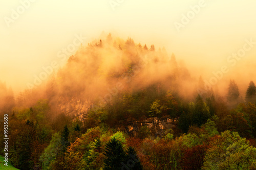 Foggy forest on Swiss Alps © Salawin Chanthapan