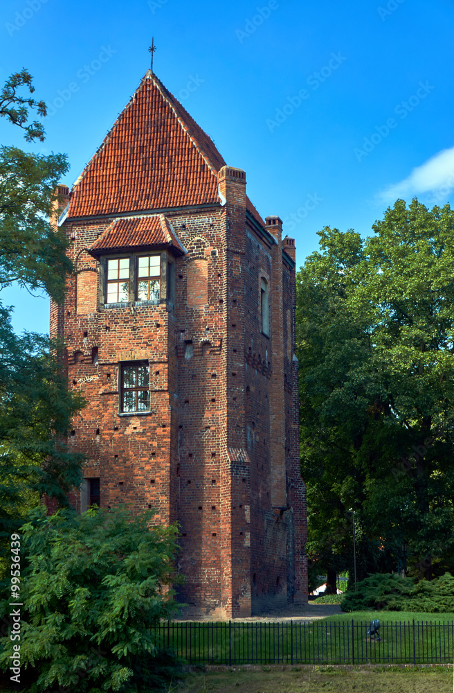 The medieval tower of bricks in Szamotuly in Poland. The medieval tower of bricks in Szamotuly in Poland.
