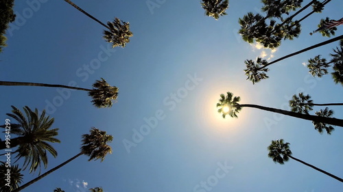 POV Driving Sunshine Climate Tropical Palm Trees Los Angeles Beverly Hills