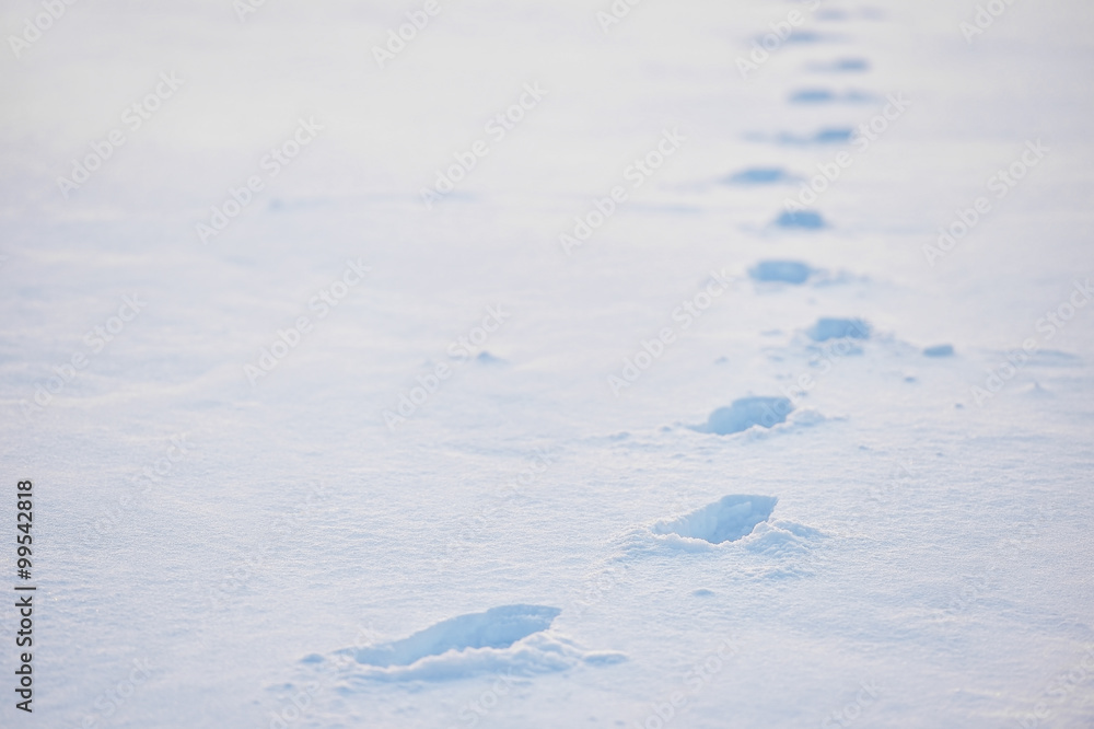 Footprints in deep snow Footprints in deep snow
