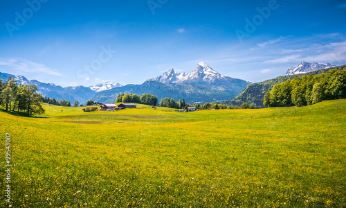 Idyllic landscape in the Alps with green meadows and flowers © JFL Photography