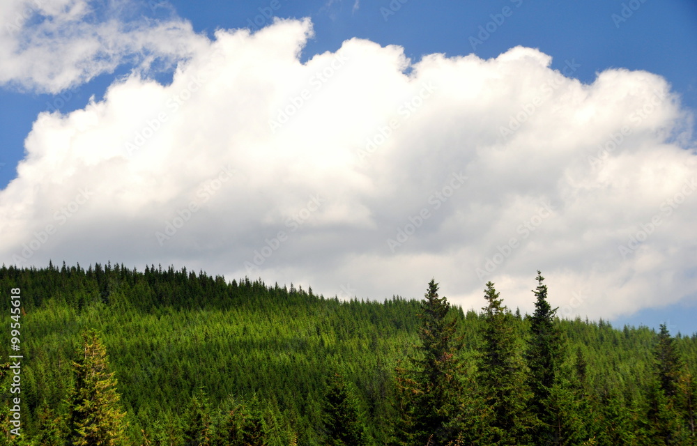 Beautiful landscape in the Carpathian mountains Beautiful landscape in the Carpathian mountains