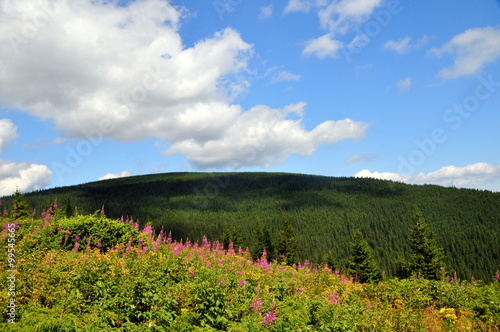 Beautiful landscape in the Carpathian mountains