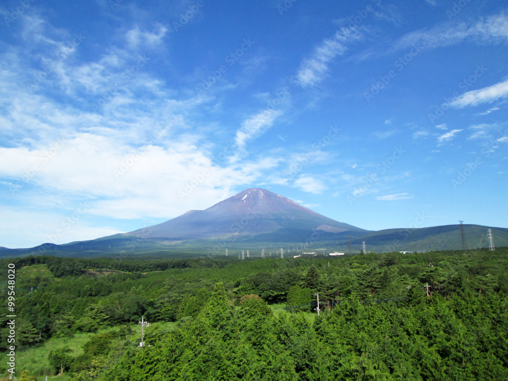Fototapeta premium Mount Fuji in Japan