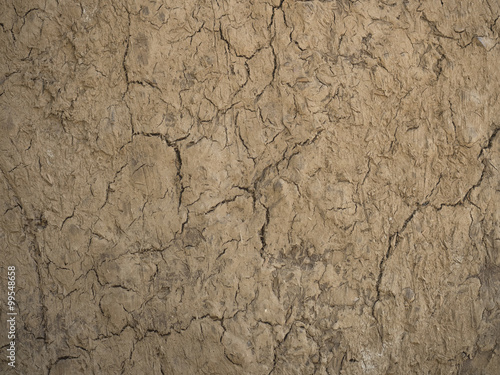 Dry ground cracks