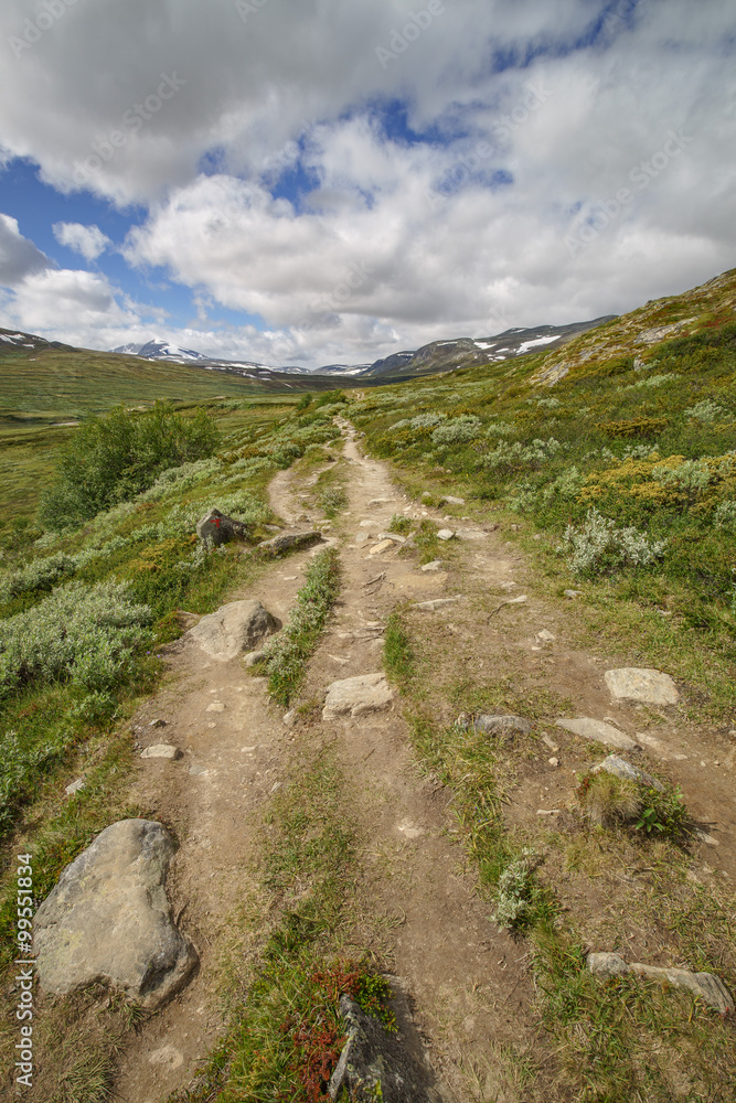 Footpath through Dovrefjell, Norway Footpath through Dovrefjell, Norway