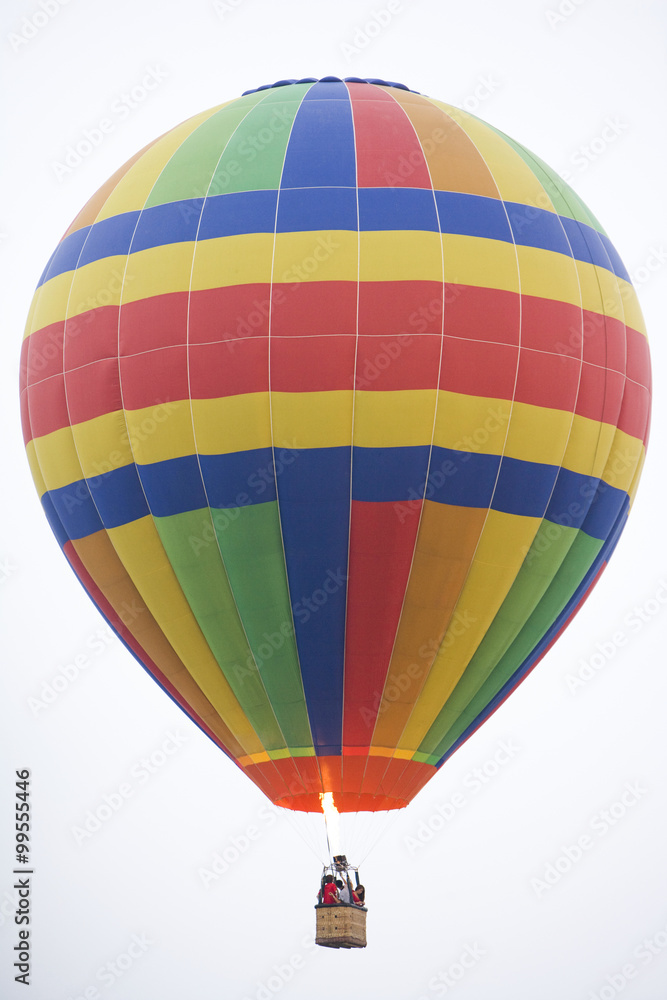 Obraz premium Hot air balloon in the air