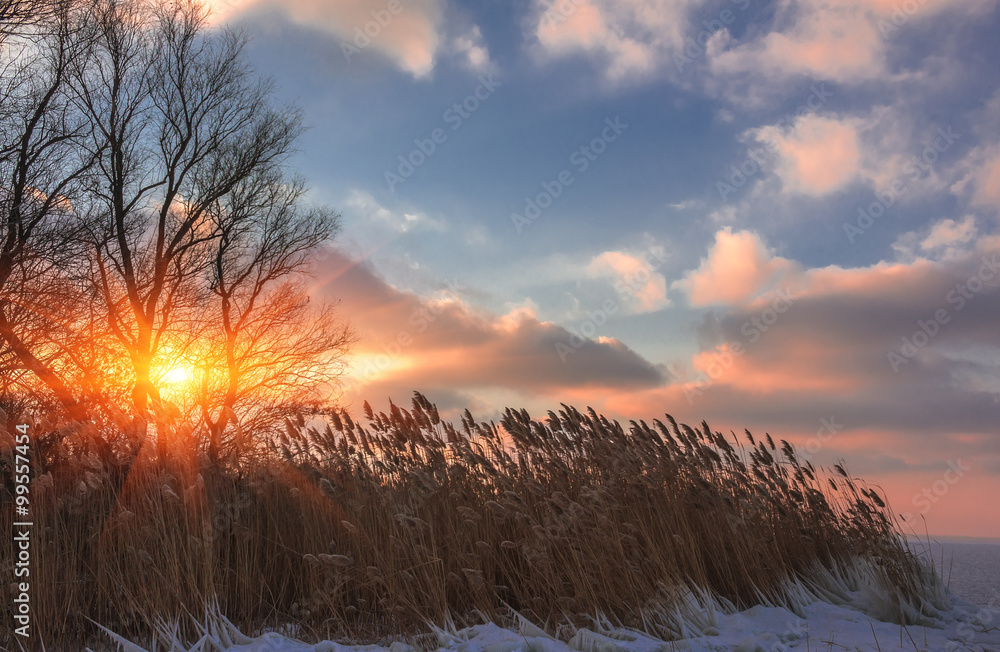 beautiful winter landscape at sunset on the coast beautiful winter landscape at sunset on the coast