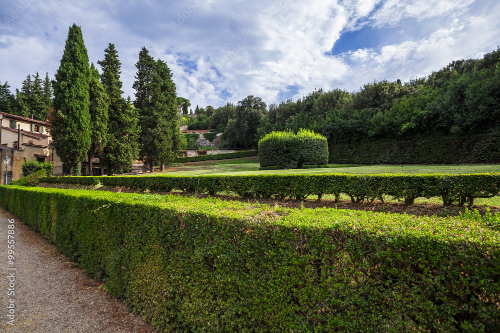 Fototapeta inside the garden of Boboli