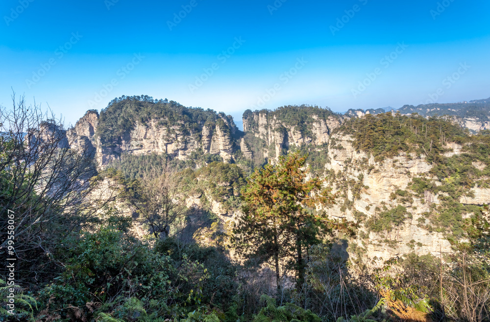 Zhangjiajie natural scenery in China 