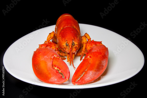 Red lobster on a white plate