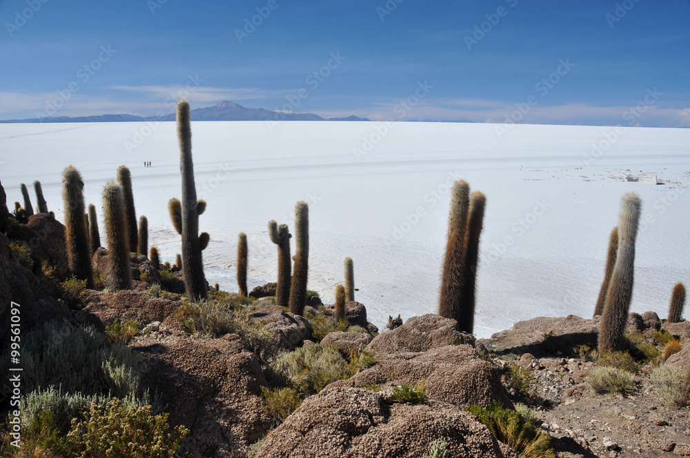 Isla Incahuasi (Pescadores), Salar de Uyuni, Bolivia Isla Incahuasi (Pescadores), Salar de Uyuni, Bolivia