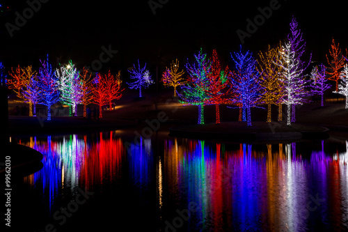 Foto Colored Lights / Beautiful trees in a waterside park or garden covered with brightly colored lights