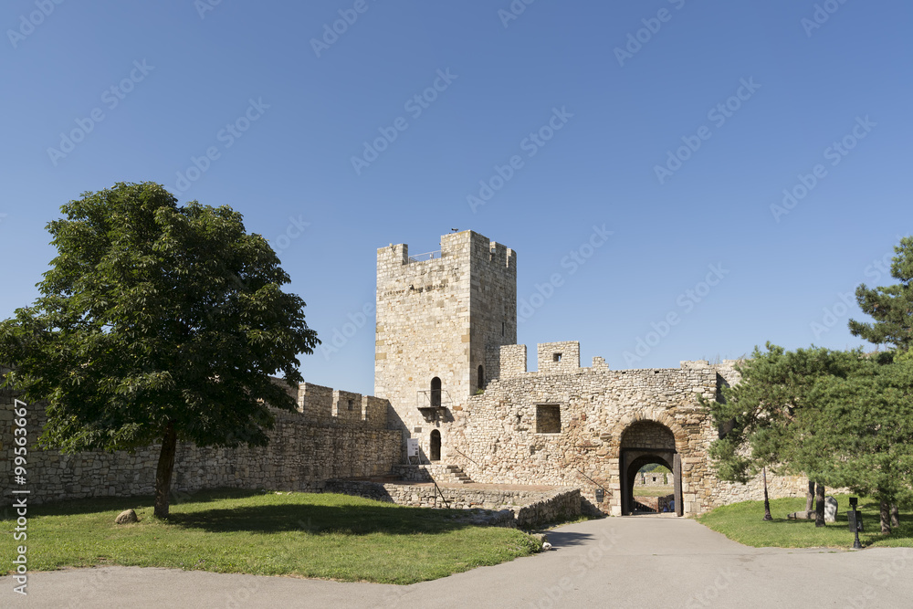Despot's Gate And Tower Inside Belgrade Fortress Complex, Serbia
