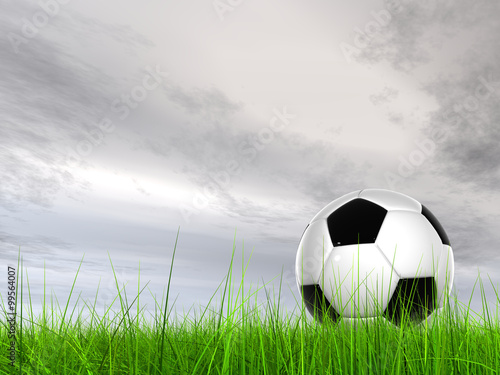 Concept or conceptual 3D soccer ball in fresh green summer or spring field grass