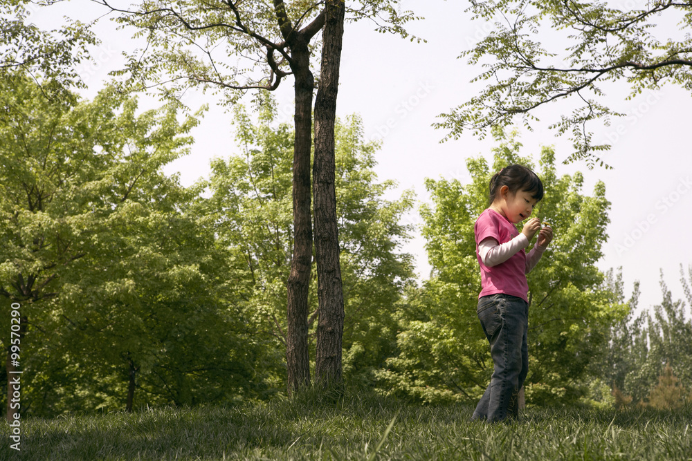 Young Girl In The Park Young Girl In The Park