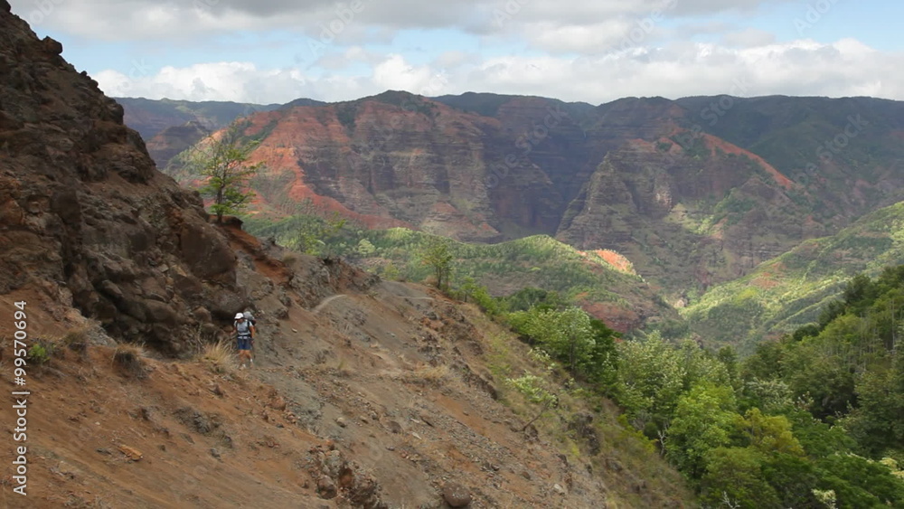Hiking Kukui Trail in Waimea Canyon State Park, Hawaii, Kauai, Hawaii. Note: Handheld video; small amount of camera movement is visible at 100%. Hiking Kukui Trail in Waimea Canyon State Park, Hawaii, Kauai, Hawaii. Note: Handheld video; small amount of camera movement is visible at 100%.
