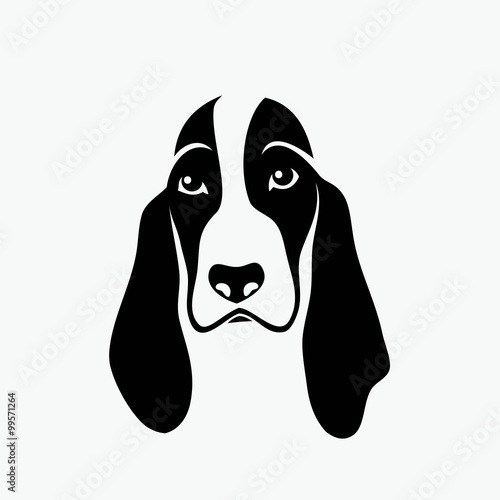 Tablou canvas Basset hound